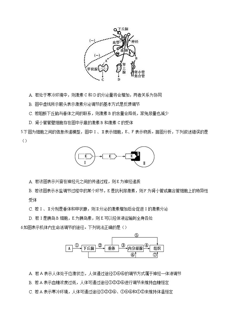 人教版(选择性必修一)高中生物分层训练AB卷第3章 体液调节（能力提升练）（2份打包，原卷版+教师版）02