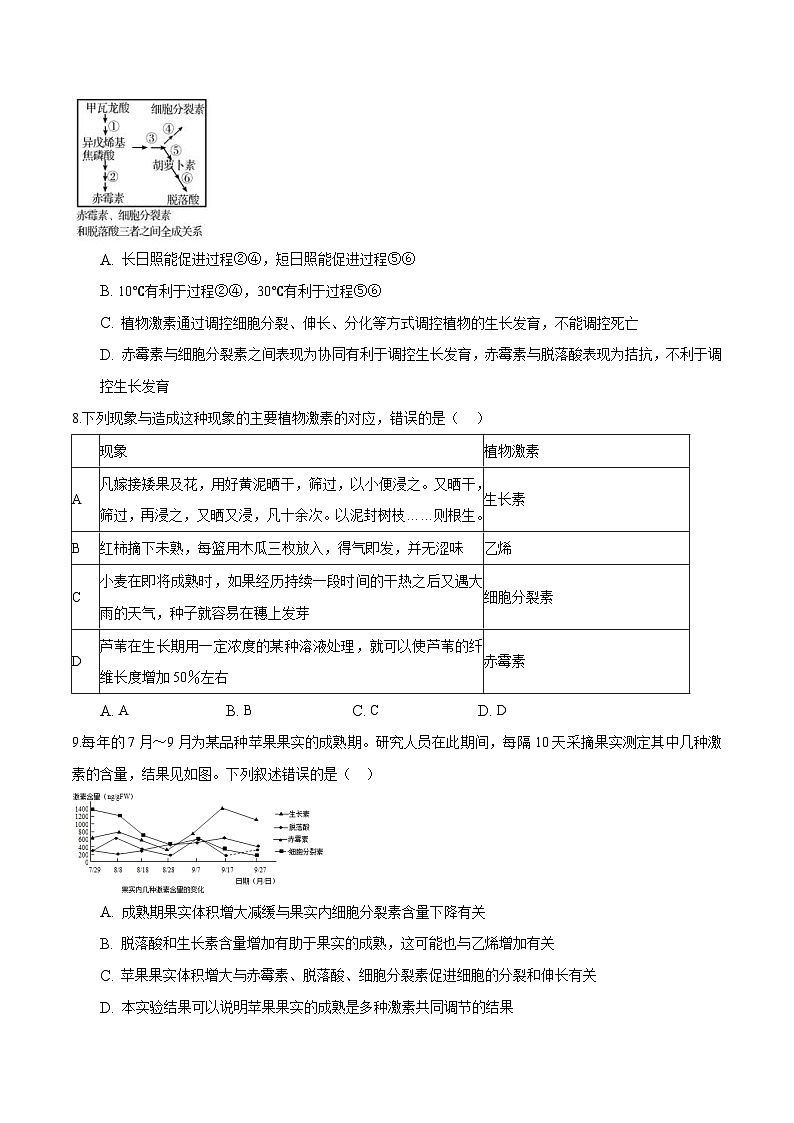 人教版(选择性必修一)高中生物分层训练AB卷第5章  植物生命活动的调节（知识通关练）（2份打包，原卷版+教师版）03