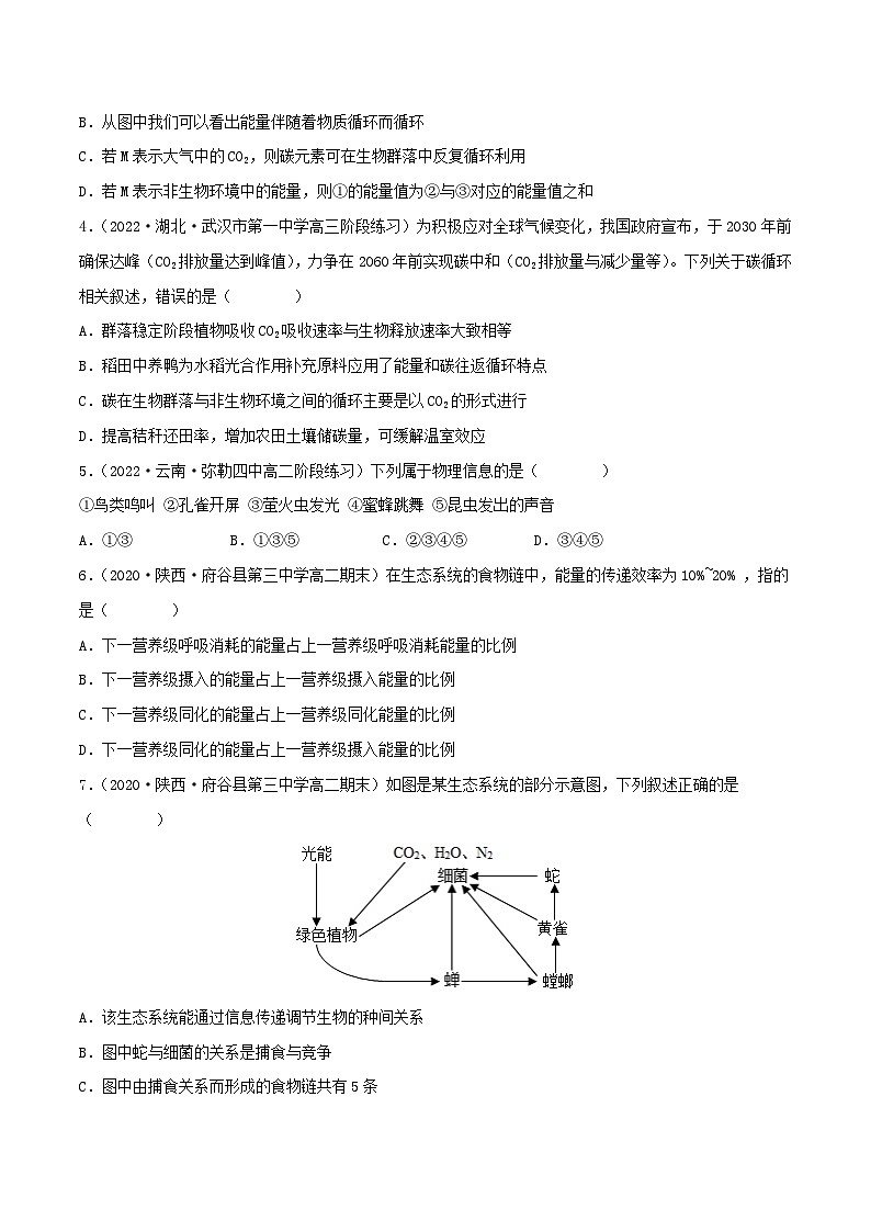 人教版(选择性必修二)高中生物分层训练AB卷第3章 生态系统及其稳定性（B卷·能力提升练）（原卷版）第2页