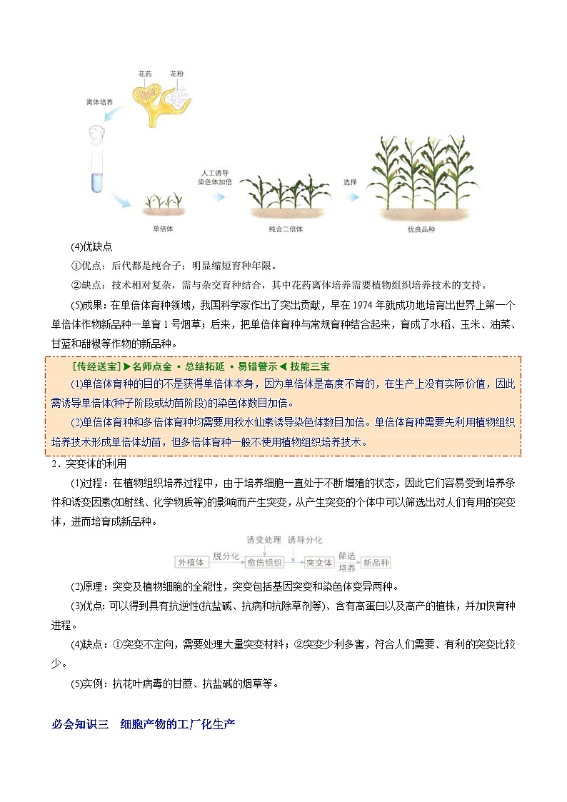 人教版(选择性必修三)高中生物同步精品讲义2.1.2 植物细胞工程的应用（2份打包，原卷版+教师版）02