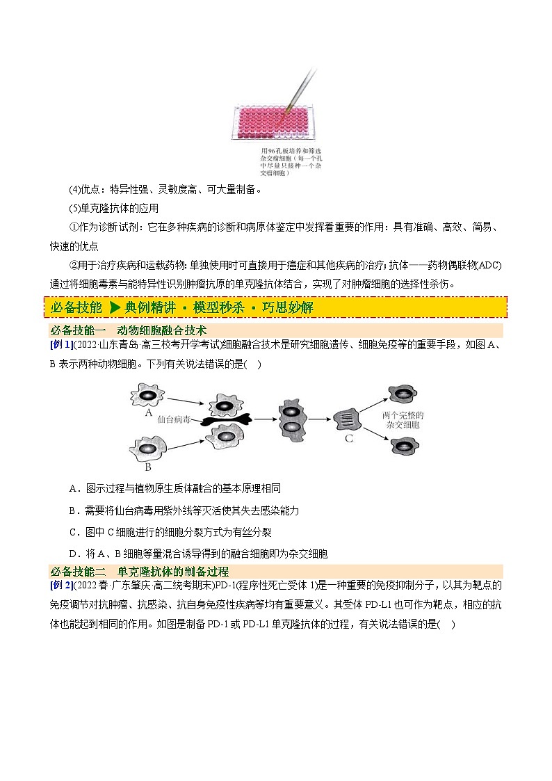 人教版(选择性必修三)高中生物同步精品讲义2.2.2 动物细胞融合技术与单克隆抗体（2份打包，原卷版+教师版）03