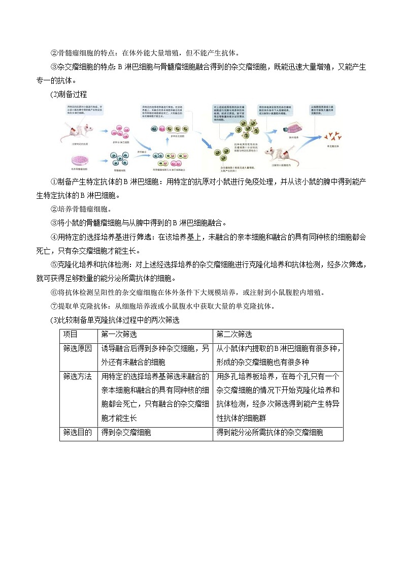 人教版(选择性必修三)高中生物同步精品讲义2.2.2 动物细胞融合技术与单克隆抗体（2份打包，原卷版+教师版）02