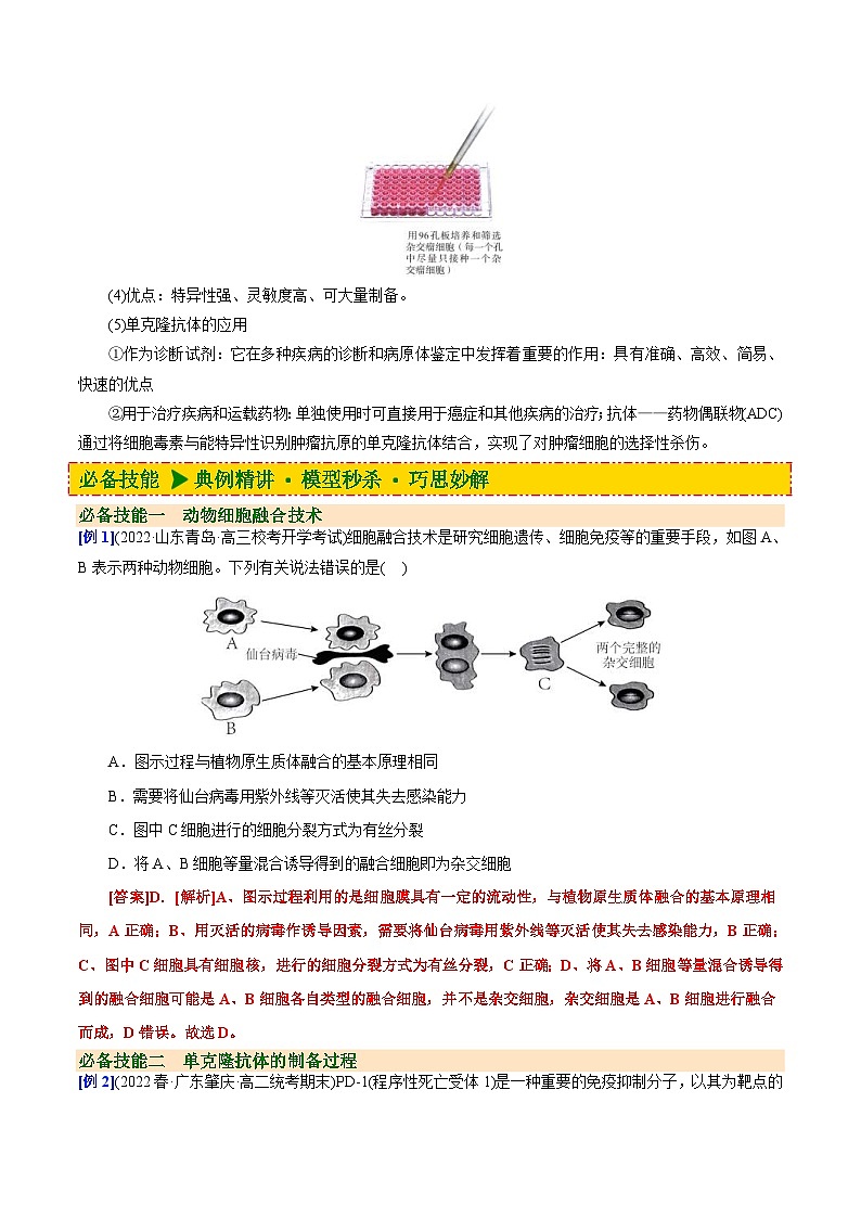 人教版(选择性必修三)高中生物同步精品讲义2.2.2 动物细胞融合技术与单克隆抗体（2份打包，原卷版+教师版）03