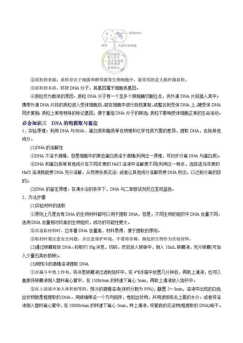 人教版(选择性必修三)高中生物同步精品讲义3.1 重组DNA技术的基本工具（2份打包，原卷版+教师版）03