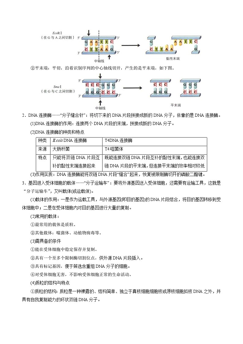 人教版(选择性必修三)高中生物同步精品讲义3.1 重组DNA技术的基本工具（2份打包，原卷版+教师版）02