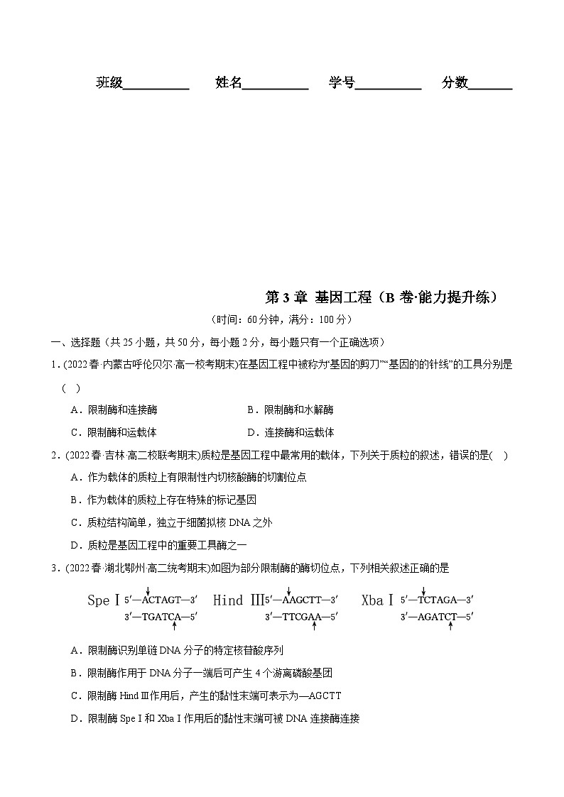 人教版(选择性必修三)高中生物分层训练AB卷第3章 基因工程（B卷·能力提升练）（2份打包，原卷版+教师版）01
