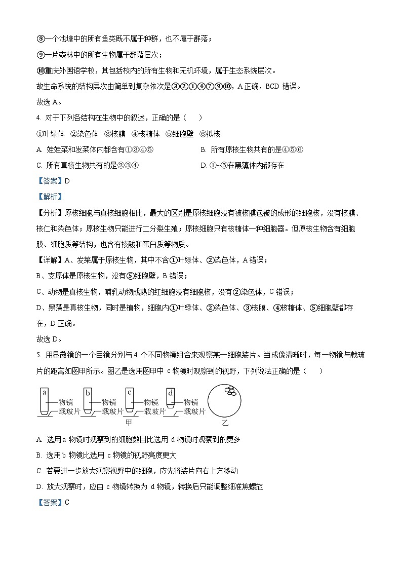 重庆市重庆实验外国语学校2022-2023学年高一上学期期末生物试题（解析版）03