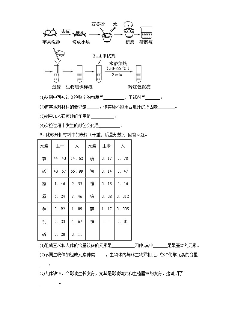 2.1细胞中的元素和化合物 练习第3页
