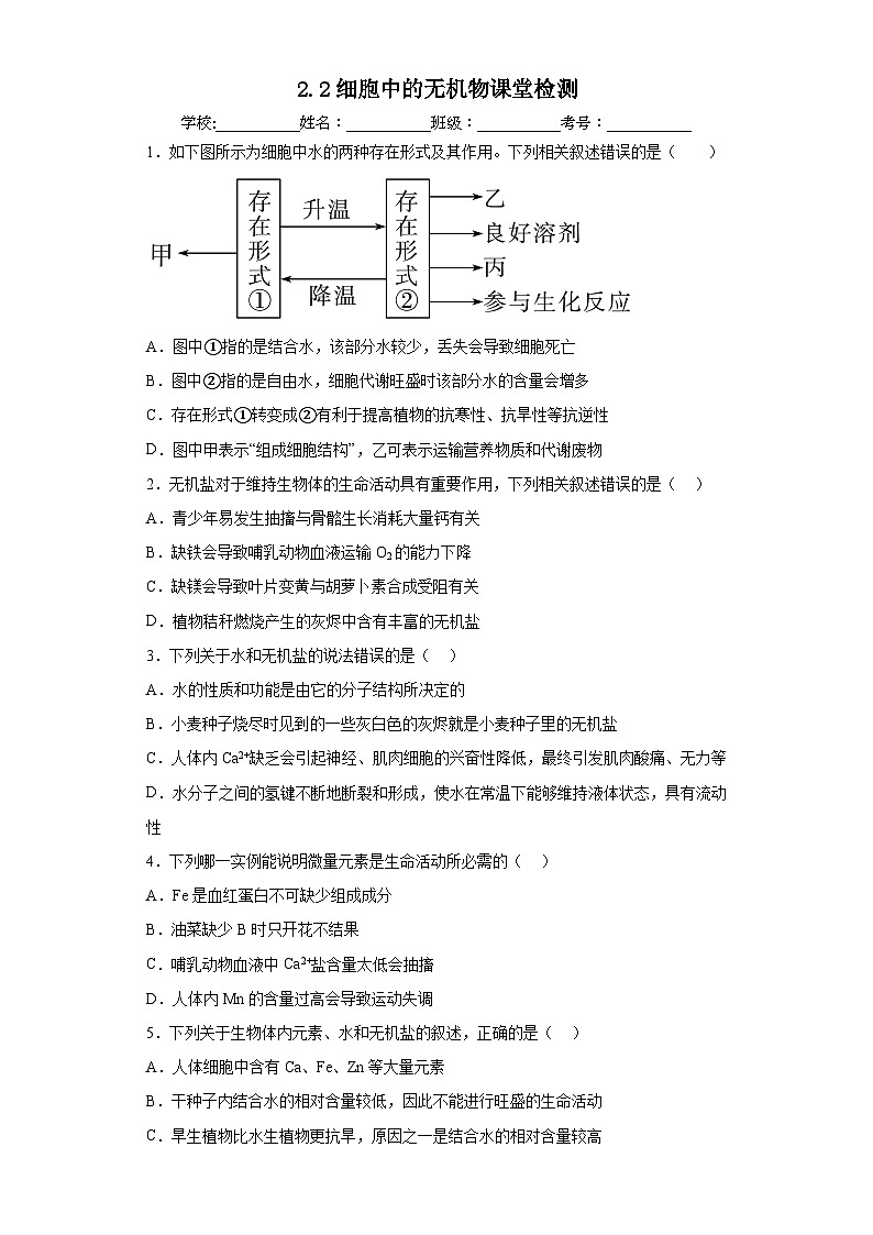 2.2细胞中的无机物 练习01