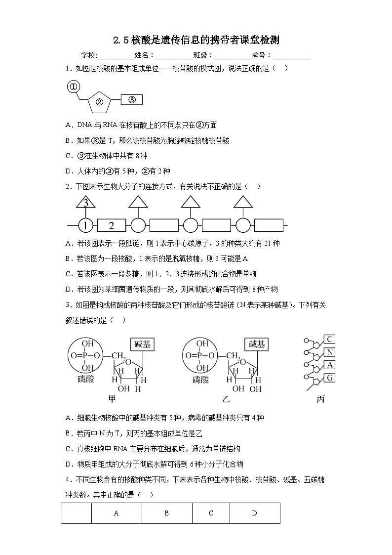 2.5核酸是遗传信息的携带者 练习第1页