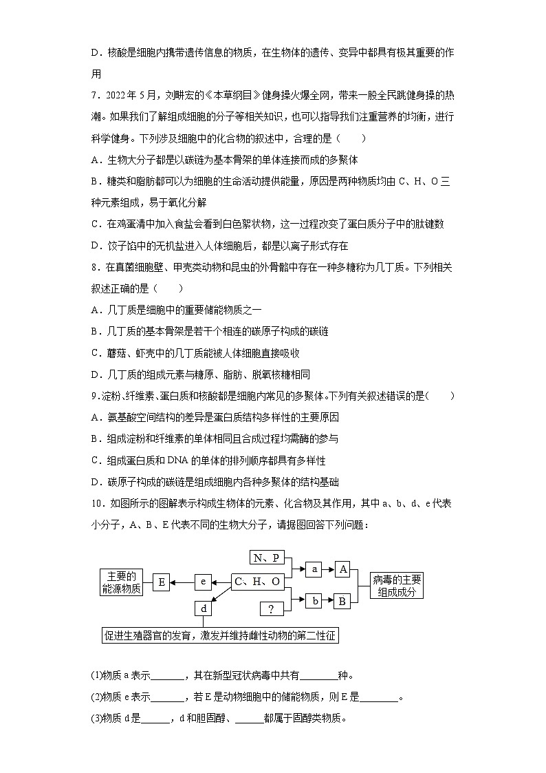 2.5核酸是遗传信息的携带者 练习第3页