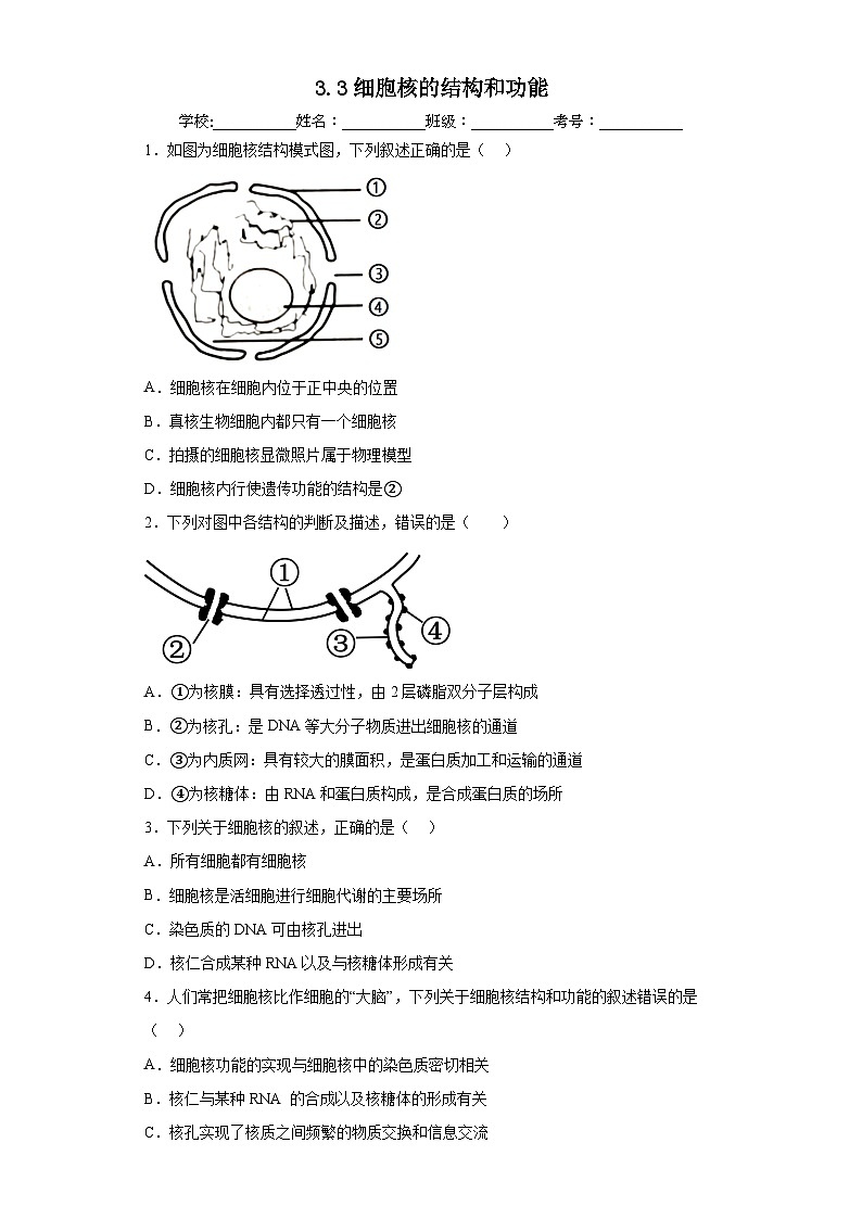 3.3细胞核的结构和功能  练习01