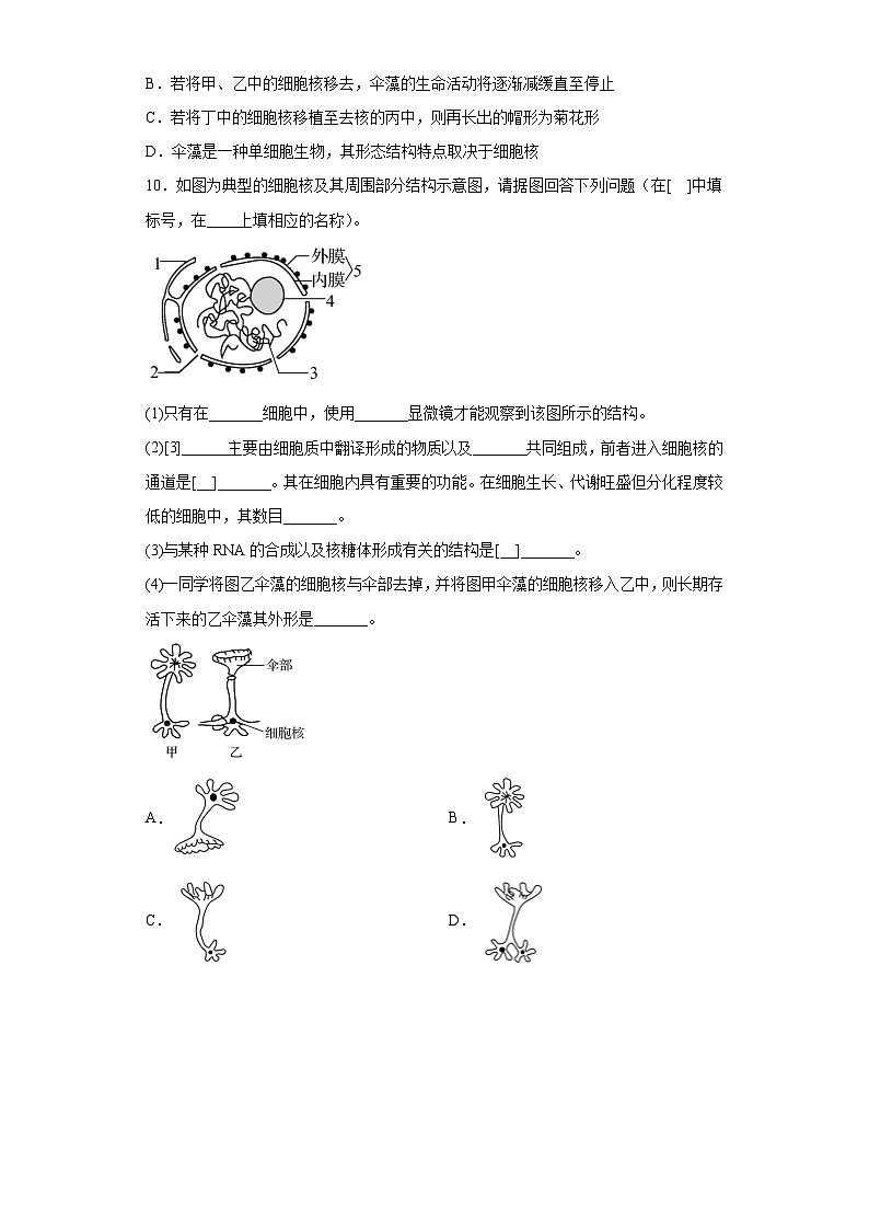 3.3细胞核的结构和功能  练习03