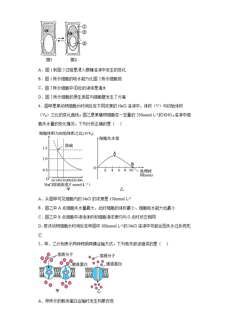 4.1被动运输 练习第2页