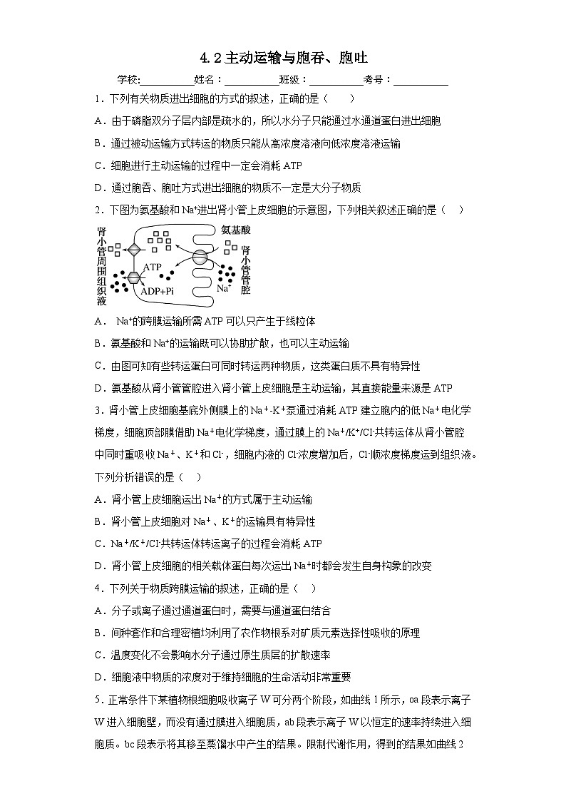 4.2主动运输与胞吞、胞吐 练习第1页
