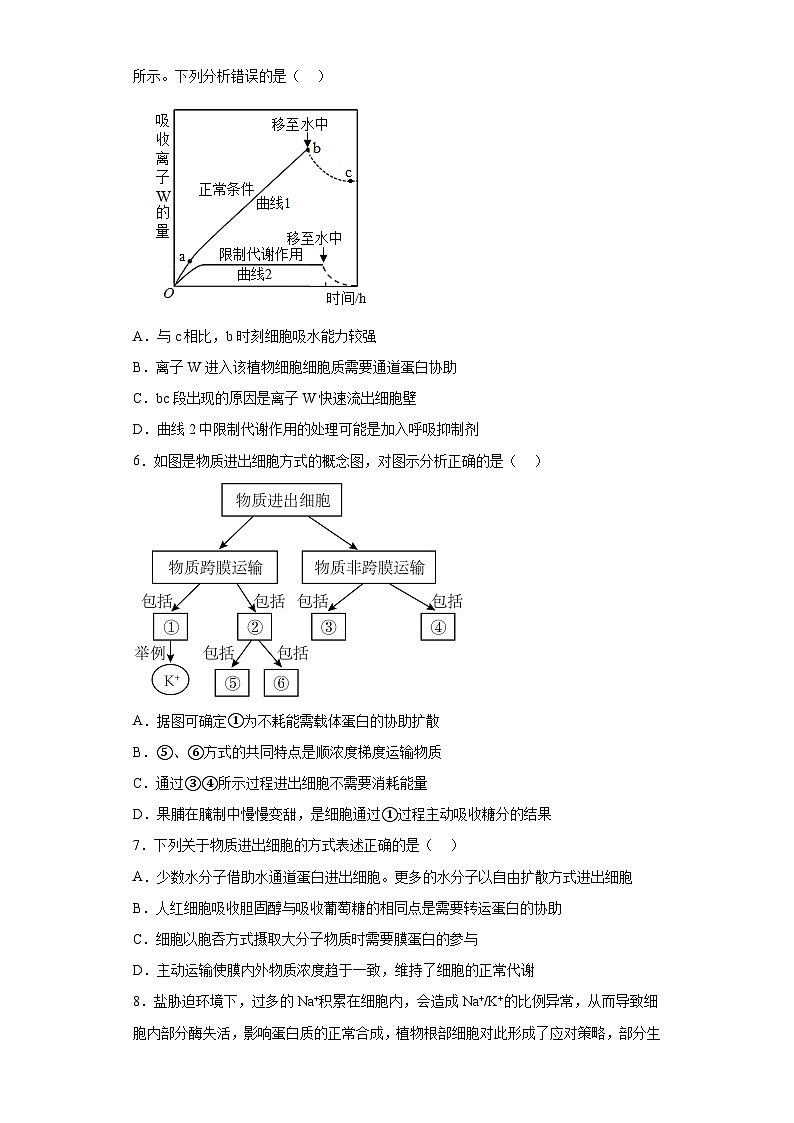 4.2主动运输与胞吞、胞吐 练习第2页