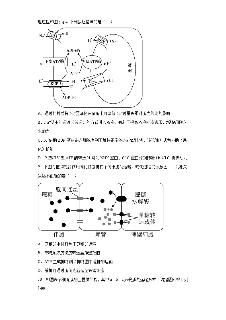 4.2主动运输与胞吞、胞吐 练习第3页