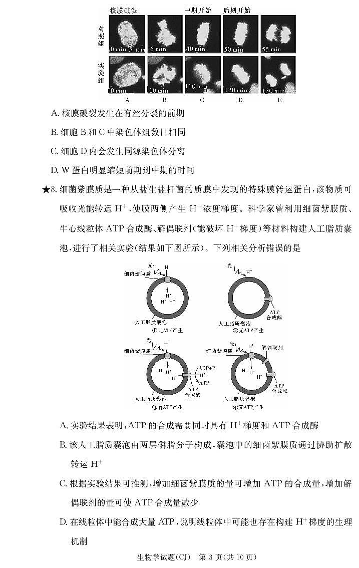 2024湖南省长郡中学高三上学期入学考试生物试题PDF版含答案03