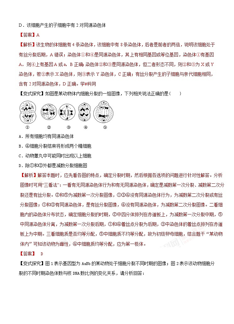高考生物二轮复习命题猜想：专题05 细胞的生命历程（解析版）第2页