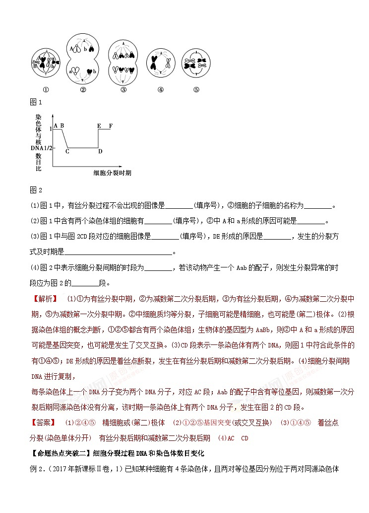 高考生物二轮复习命题猜想：专题05 细胞的生命历程（解析版）第3页