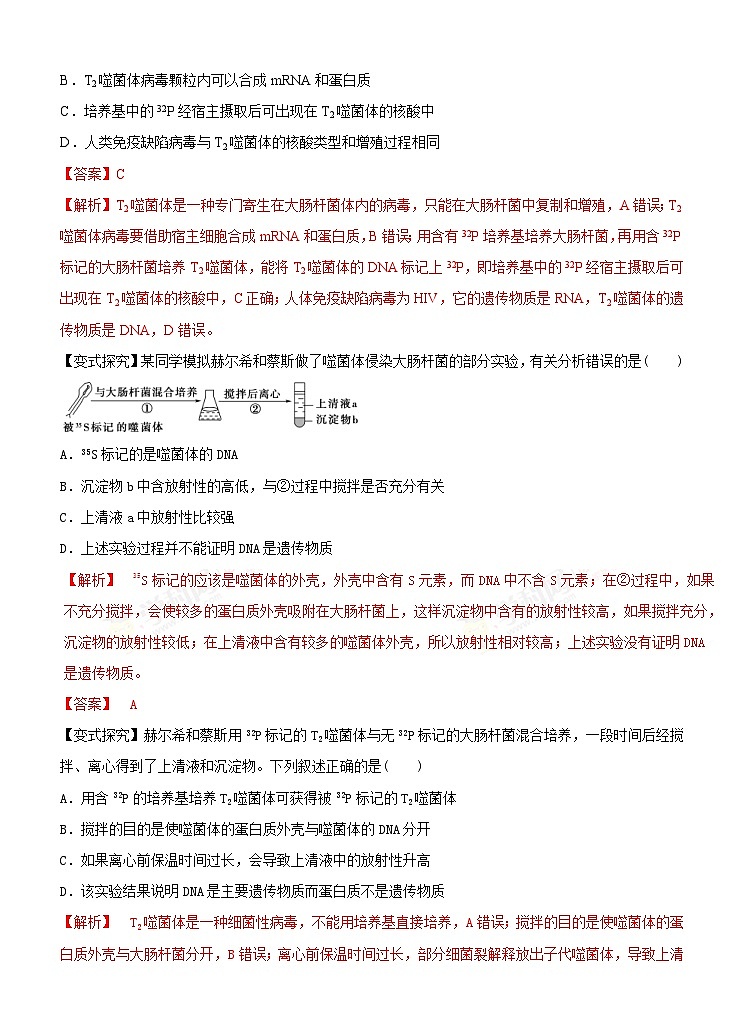 高考生物二轮复习命题猜想：专题06 遗传的分子基础（解析版）第3页