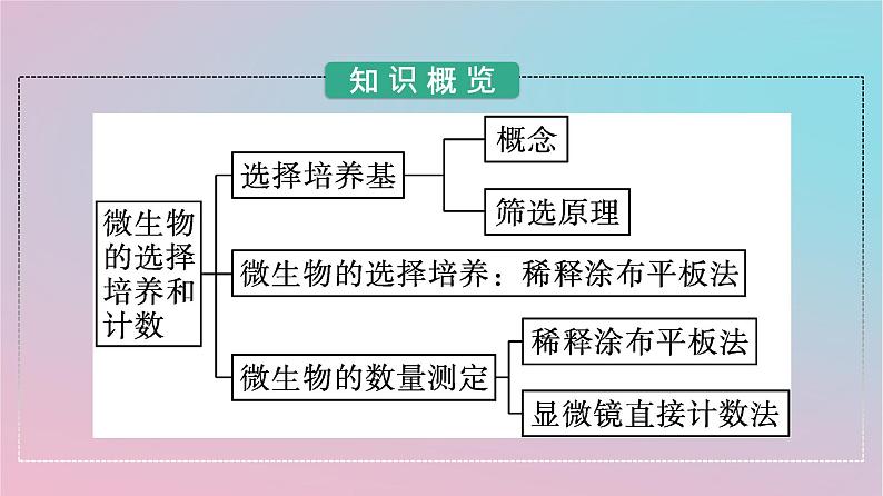 新教材2023年高中生物第1章发酵工程第2节第2课时微生物的选择培养和计数课件新人教版选择性必修303