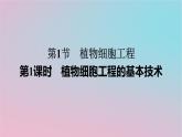 新教材2023年高中生物第2章细胞工程第1节植物细胞工程第1课时植物细胞工程的基本技术课件新人教版选择性必修3