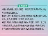 新教材2023年高中生物第2章细胞工程第1节植物细胞工程第1课时植物细胞工程的基本技术课件新人教版选择性必修3