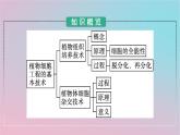 新教材2023年高中生物第2章细胞工程第1节植物细胞工程第1课时植物细胞工程的基本技术课件新人教版选择性必修3