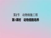 新教材2023年高中生物第2章细胞工程第2节动物细胞工程第1课时动物细胞培养课件新人教版选择性必修3