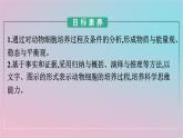 新教材2023年高中生物第2章细胞工程第2节动物细胞工程第1课时动物细胞培养课件新人教版选择性必修3