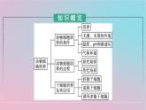 新教材2023年高中生物第2章细胞工程第2节动物细胞工程第1课时动物细胞培养课件新人教版选择性必修3