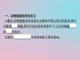 新教材2023年高中生物第2章细胞工程第2节动物细胞工程第1课时动物细胞培养课件新人教版选择性必修3