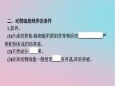 新教材2023年高中生物第2章细胞工程第2节动物细胞工程第1课时动物细胞培养课件新人教版选择性必修3