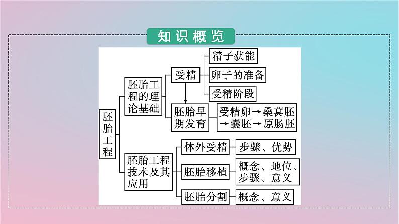 新教材2023年高中生物第2章细胞工程第3节胚胎工程课件新人教版选择性必修303