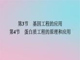 新教材2023年高中生物第3章基因工程第3节基因工程的应用_第4节蛋白质工程的原理和应用课件新人教版选择性必修3