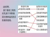 新教材2023年高中生物第3章基因工程第3节基因工程的应用_第4节蛋白质工程的原理和应用课件新人教版选择性必修3
