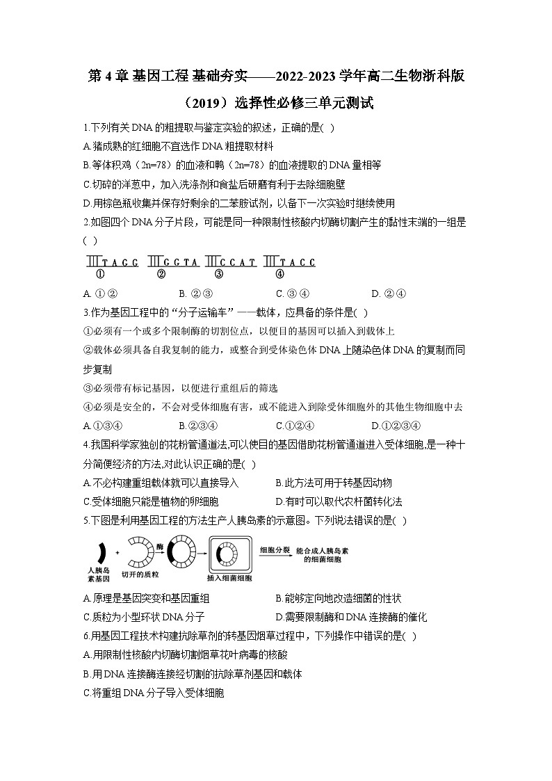 浙教版2019 高中生物 选修3 第4章 基因工程 基础夯实（含解析） 试卷01