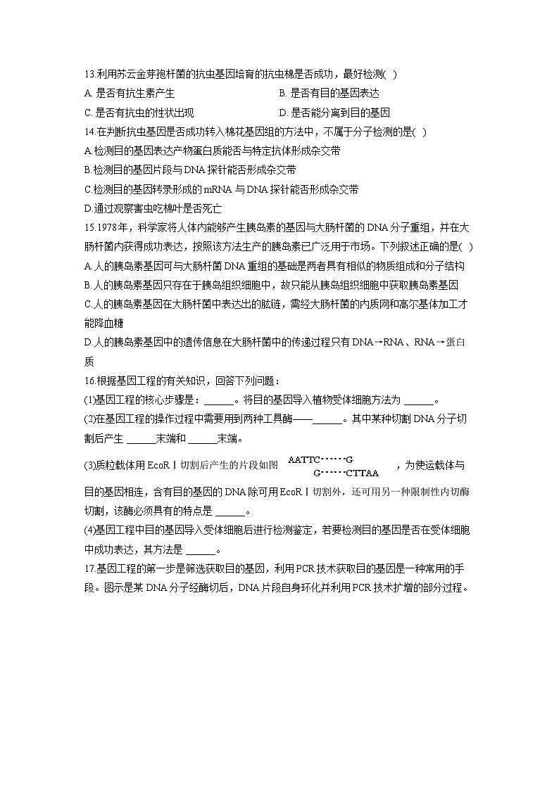 浙教版2019 高中生物 选修3 第4章 基因工程 基础夯实（含解析） 试卷03