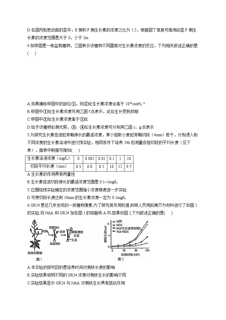 苏教版 高中生物 选修一 第4章 植物生命活动的调节  练习（含解析）第2页