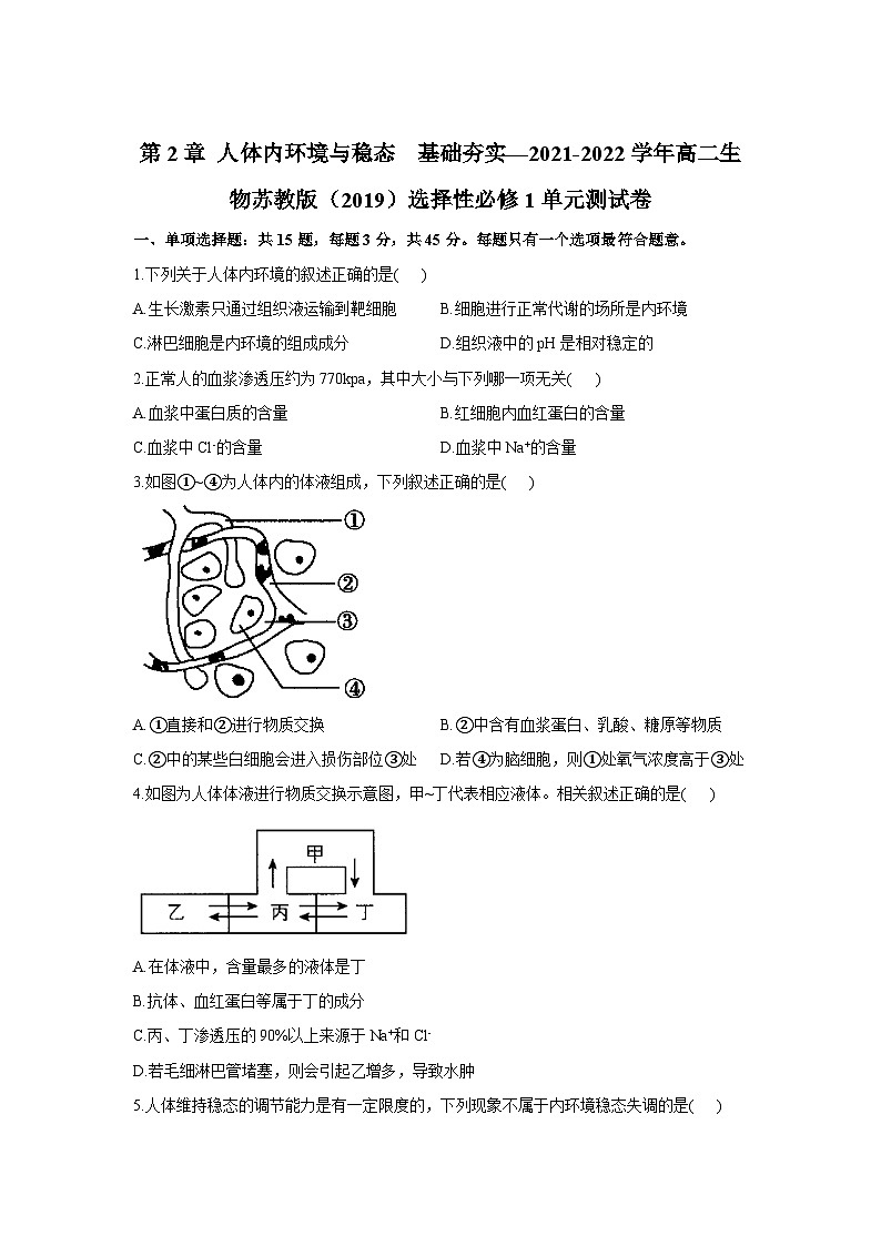 苏教版（2019）高中生物 选择性必修一 第2章 人体内环境与稳态单元测试卷（2份）（word 含解析）01