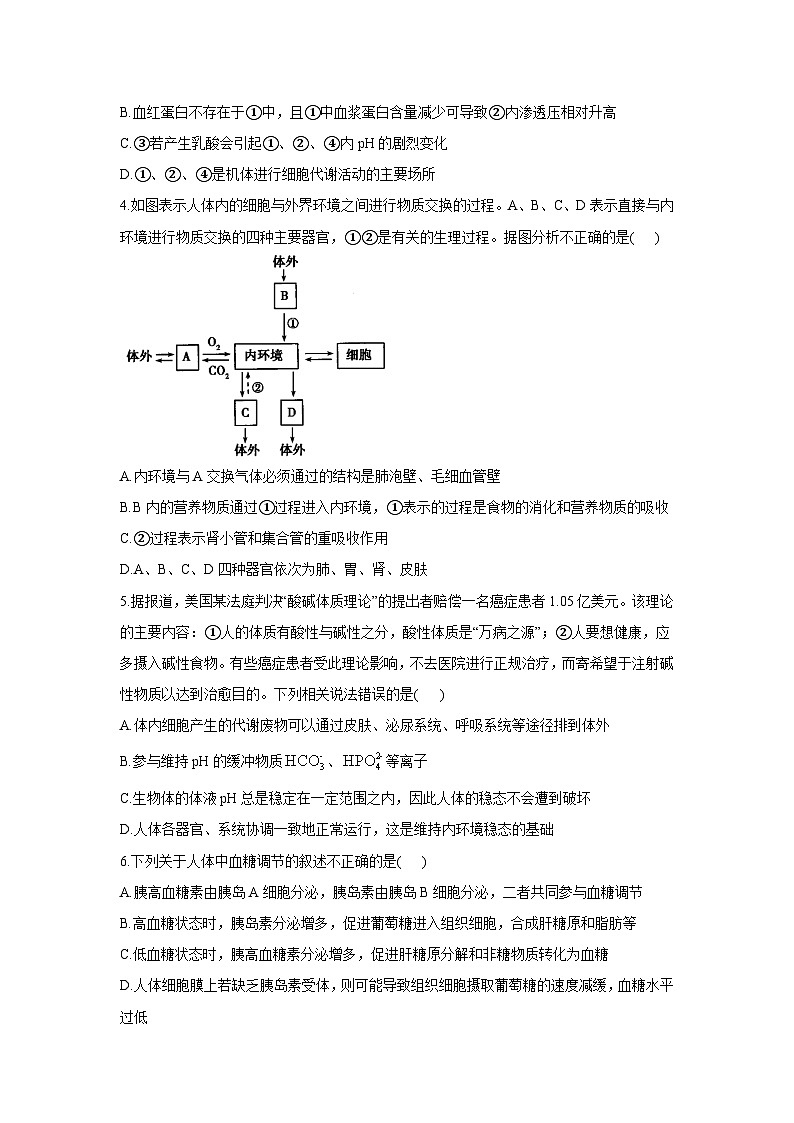 苏教版（2019）高中生物 选择性必修一 第2章 人体内环境与稳态单元测试卷（2份）（word 含解析）02