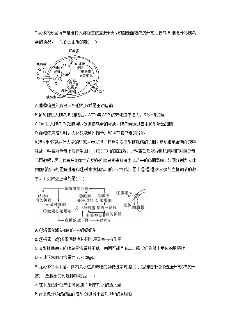 苏教版（2019）高中生物 选择性必修一 第2章 人体内环境与稳态单元测试卷（2份）（word 含解析）03