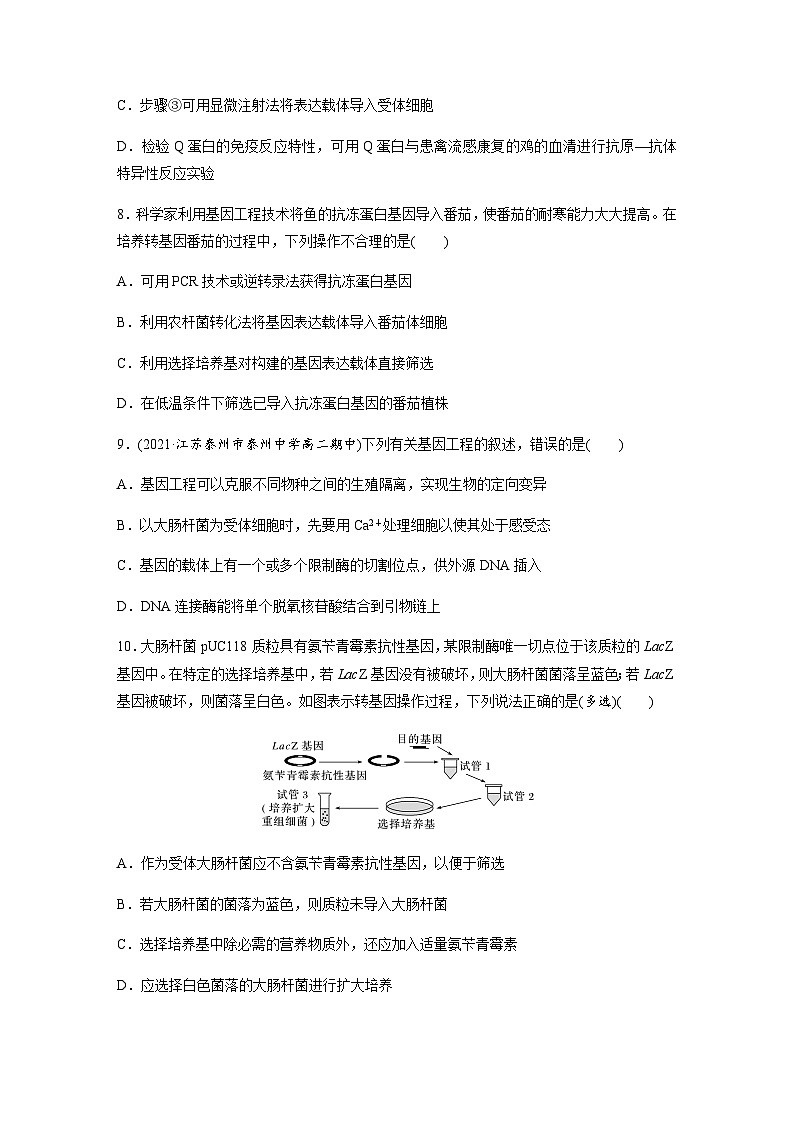 苏教版（2019）高中生物 选择性必修3   第三章　基因工程  重点突破练(三)（word版含解析）03
