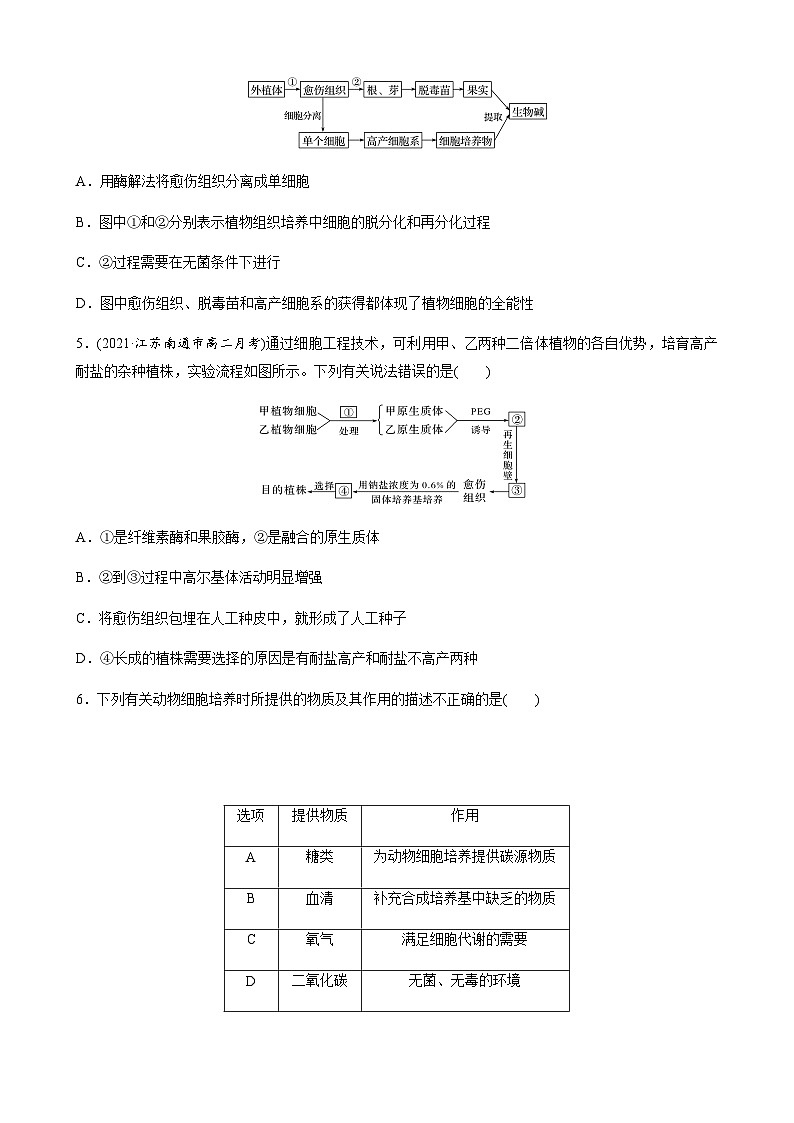苏教版（2019）高中生物 选择性必修3 第二章　细胞工程 章末检测试卷(二)（word版含解析）02