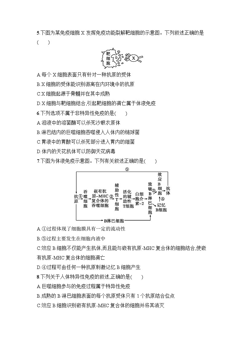浙科版2019 高中生物 选修1  第四章 免疫调节单元检测（word版含解析）02