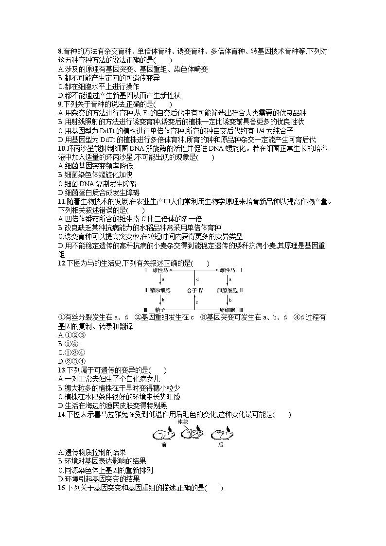 浙科版2019 高中生物 必修2  第四章生物的变异过关检测含答案解析）第2页