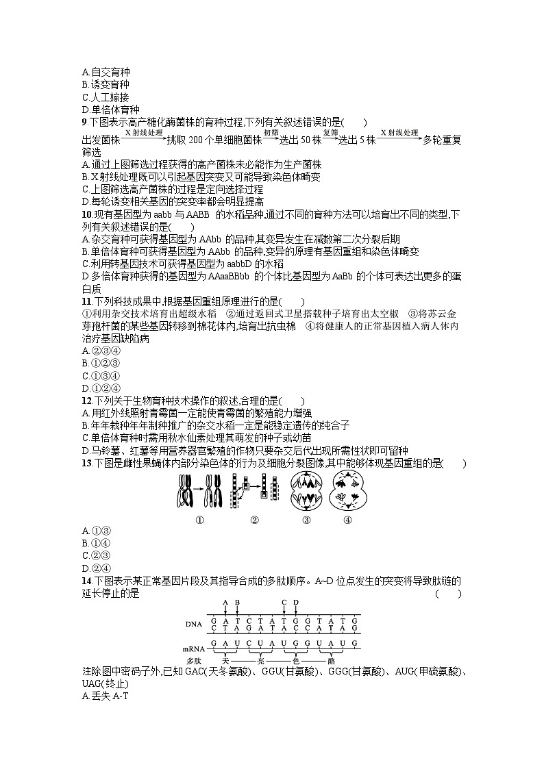 浙科版2019 高中生物 必修2  第四章生物的变异过关检测（含答案解析）02
