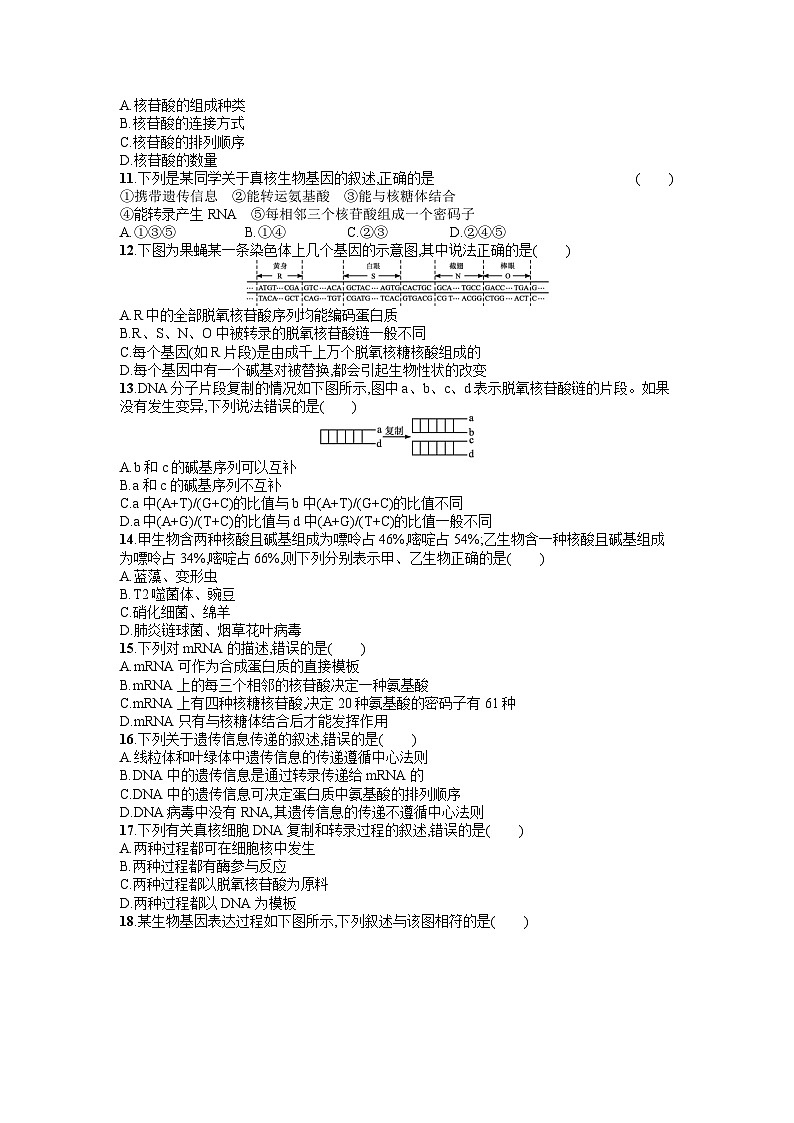 浙科版2019 高中生物 必修2 第三章遗传的分子基础过关检测(1)（含答案解析）02