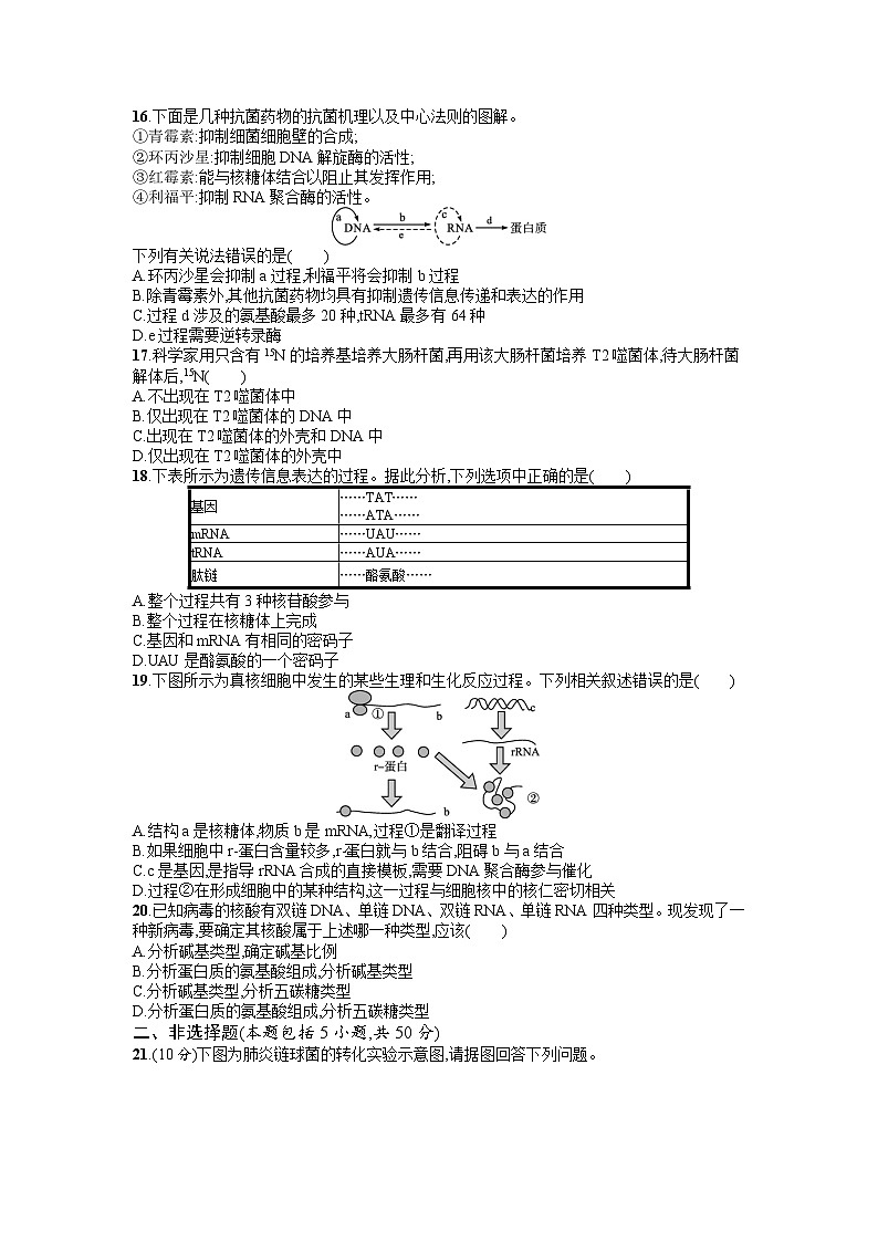 浙科版2019 高中生物 必修2 第三章遗传的分子基础过关检测（含答案解析）第3页